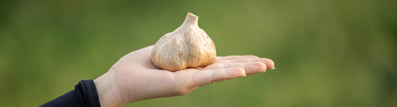 カテゴリーイメージ