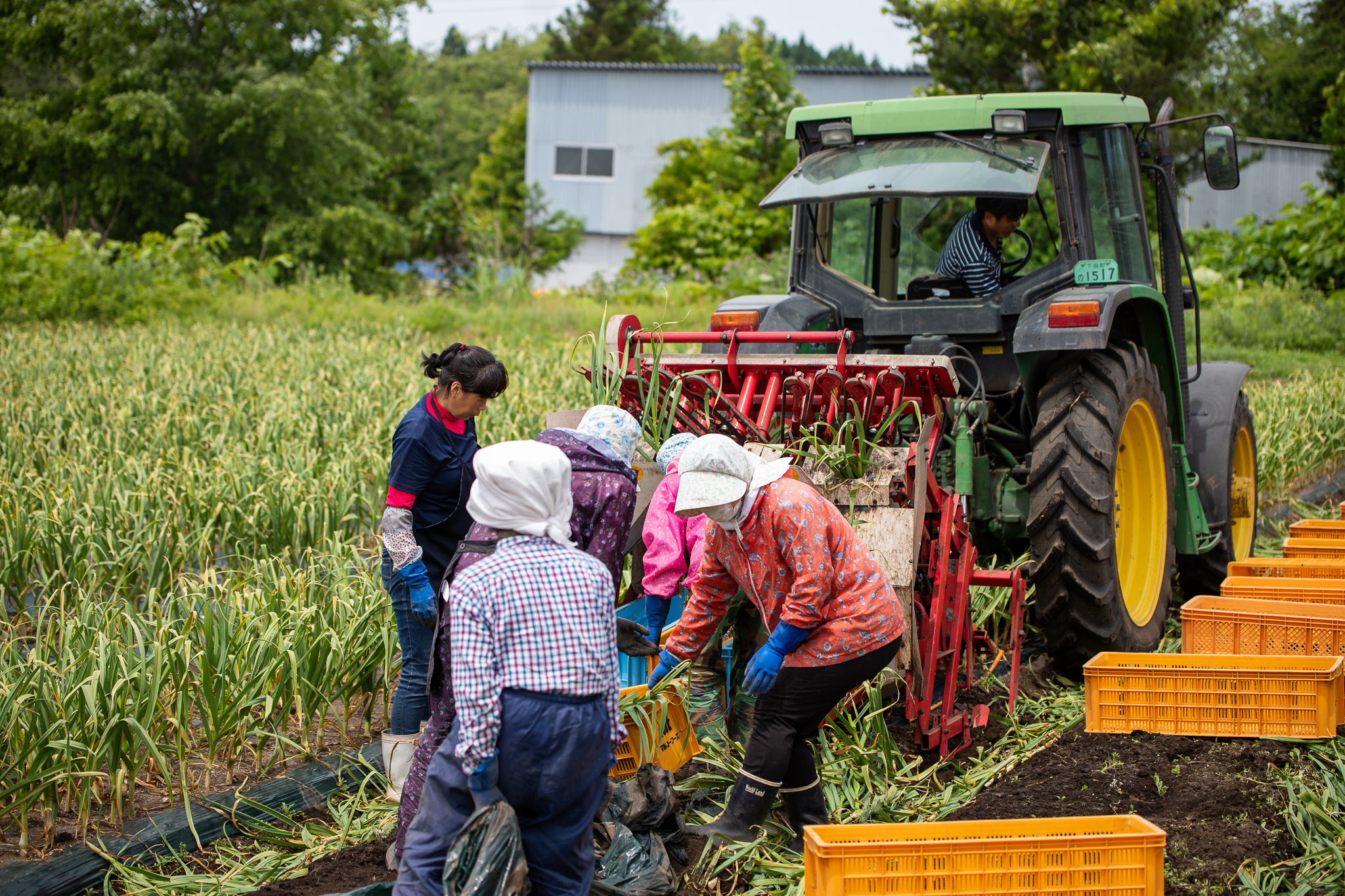 採用情報 - 青森の大地で働くスタッフ