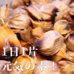 kasiwazaki96229_1013_2_d_20241113131548