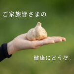 kasiwazaki96229_1013_3_d_20241113131559