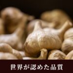 kasiwazaki96229_1013_4_d_20241113131619